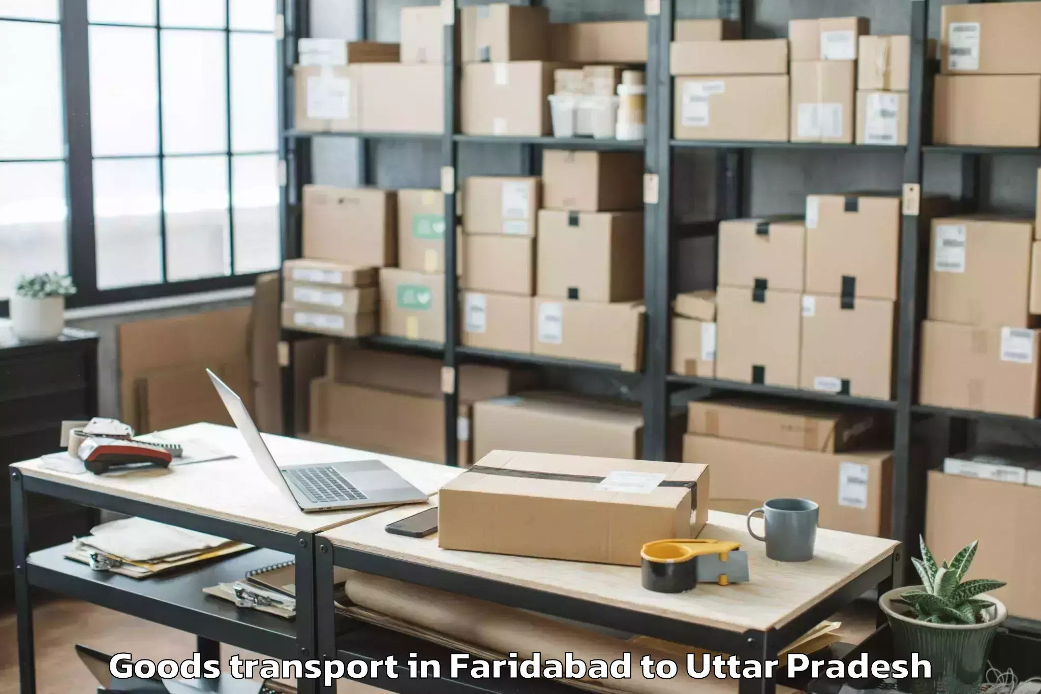 Book Faridabad to Dhampur Goods Transport Online